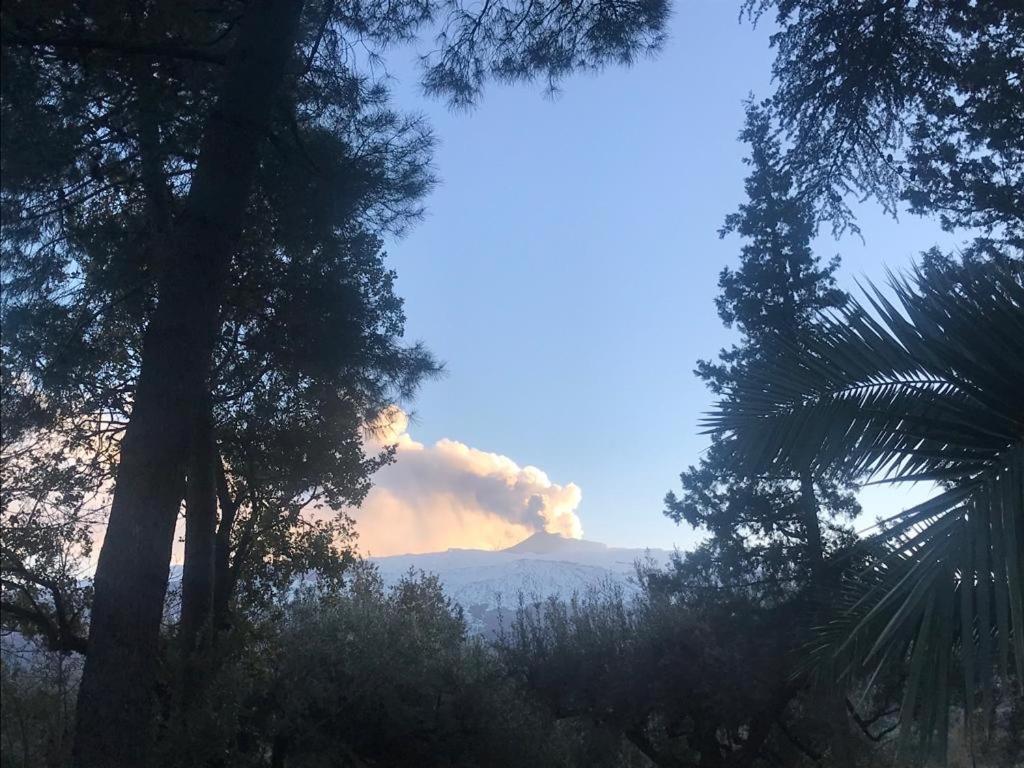 רנדצו Agriturismo Sole Di Sicilia מראה חיצוני תמונה