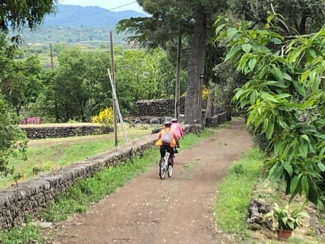 רנדצו Agriturismo Sole Di Sicilia מראה חיצוני תמונה